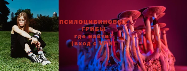 бошки Алзамай