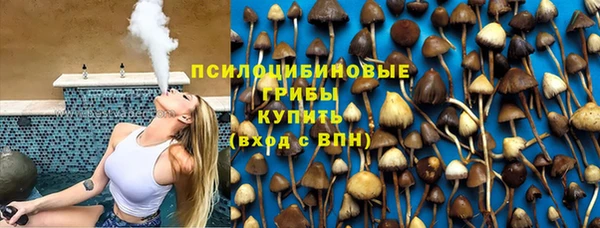 кокс Алексин