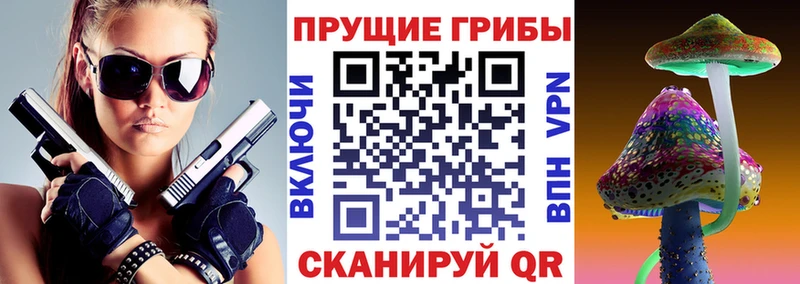 Галлюциногенные грибы мухоморы  omg ссылки  сайты даркнета состав  Новозыбков 