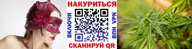 Марихуана THC 21% Новозыбков